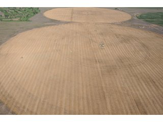 Property photo 7 - 699+/- Acres Offered in 5 Tracts - 4-1/2 Irrigated Circles