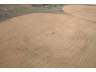 Property photo 15 - 699+/- Acres Offered in 5 Tracts - 4-1/2 Irrigated Circles