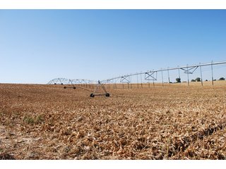 Property photo 68 - 699+/- Acres Offered in 5 Tracts - 4-1/2 Irrigated Circles