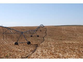 Property photo 32 - 699+/- Acres Offered in 5 Tracts - 4-1/2 Irrigated Circles