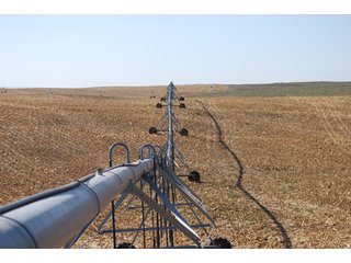 Property photo 89 - 699+/- Acres Offered in 5 Tracts - 4-1/2 Irrigated Circles