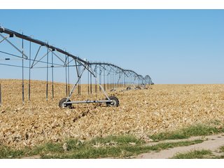 Property photo 34 - 699+/- Acres Offered in 5 Tracts - 4-1/2 Irrigated Circles