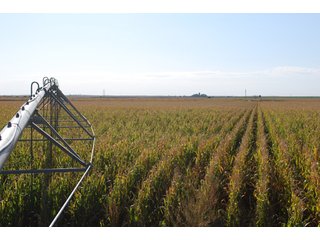 Property photo 91 - 699+/- Acres Offered in 5 Tracts - 4-1/2 Irrigated Circles