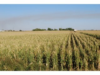 Property photo 51 - 699+/- Acres Offered in 5 Tracts - 4-1/2 Irrigated Circles