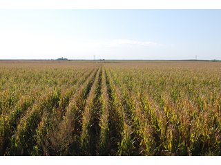 Property photo 72 - 699+/- Acres Offered in 5 Tracts - 4-1/2 Irrigated Circles