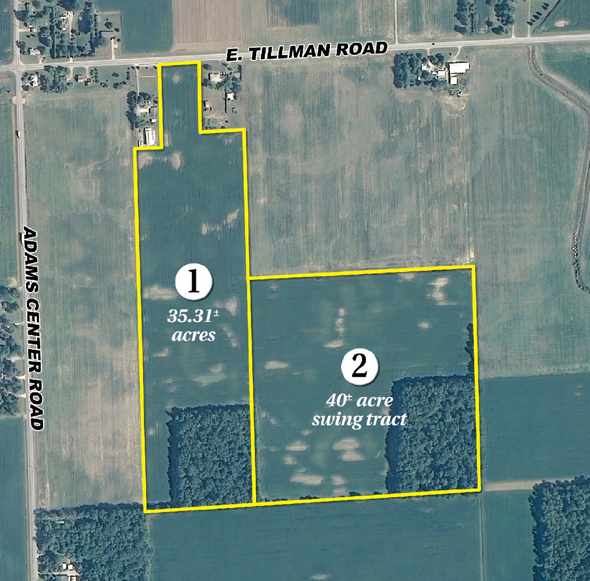 Tract map - 75.3 Acres Offered in 2 Tracts