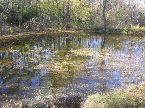 Property photo 2 - 79+/- Acres Offered in 4 Tracts