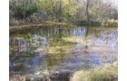 Property photo 2 - 79+/- Acres Offered in 4 Tracts