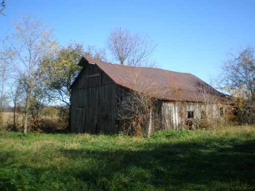 Property photo 3 - 79+/- Acres Offered in 4 Tracts