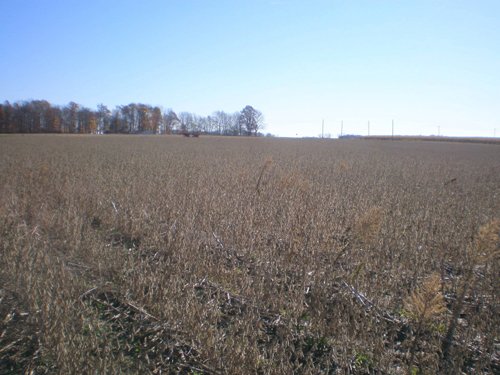 Property photo 1 - 79+/- Acres Offered in 4 Tracts