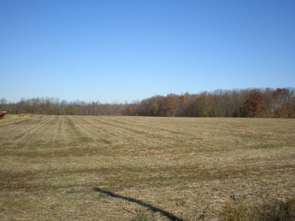 79+/- Acres Offered in 4 Tracts