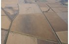 Property photo 17 - 312 Acres Offered in 2 Tracts