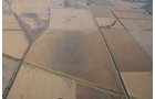 Property photo 76 - 312 Acres Offered in 2 Tracts