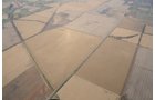 Property photo 106 - 312 Acres Offered in 2 Tracts