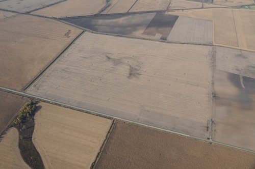 Property photo 72 - 312 Acres Offered in 2 Tracts