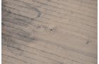 Property photo 95 - 312 Acres Offered in 2 Tracts