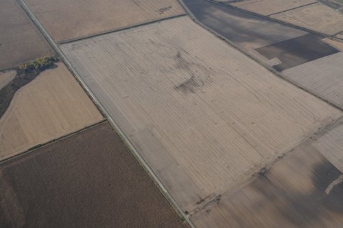 Property photo 12 - 312 Acres Offered in 2 Tracts