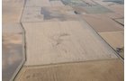 Property photo 1 - 312 Acres Offered in 2 Tracts