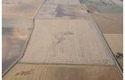 Property photo 54 - 312 Acres Offered in 2 Tracts