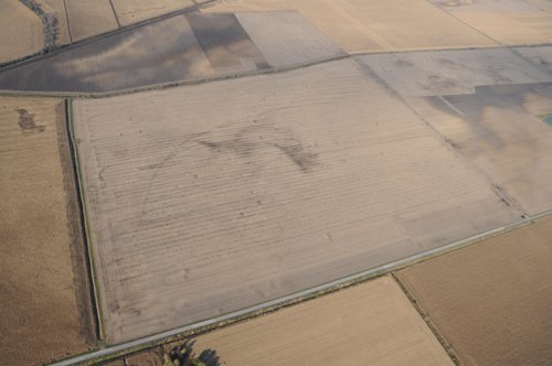 Property photo 88 - 312 Acres Offered in 2 Tracts