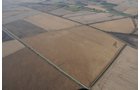 Property photo 91 - 312 Acres Offered in 2 Tracts