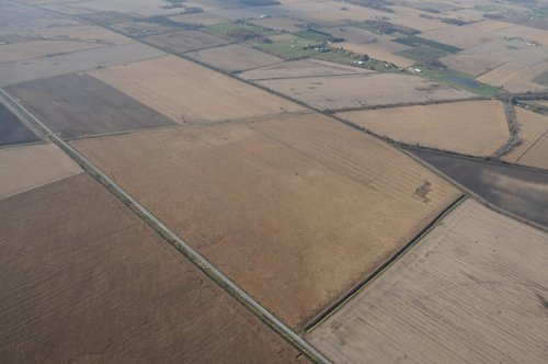 Property photo 71 - 312 Acres Offered in 2 Tracts