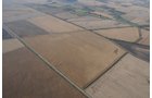 Property photo 71 - 312 Acres Offered in 2 Tracts
