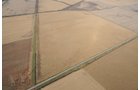Property photo 11 - 312 Acres Offered in 2 Tracts