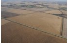 Property photo 83 - 312 Acres Offered in 2 Tracts