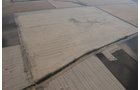 Property photo 58 - 312 Acres Offered in 2 Tracts