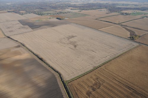 Property photo 86 - 312 Acres Offered in 2 Tracts