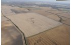 Property photo 101 - 312 Acres Offered in 2 Tracts