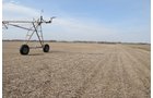 Property photo 62 - 312 Acres Offered in 2 Tracts