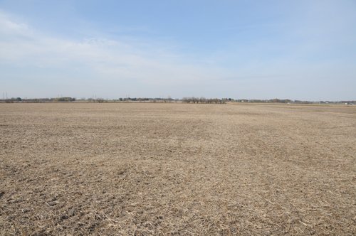 Property photo 65 - 312 Acres Offered in 2 Tracts