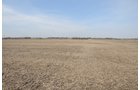 Property photo 65 - 312 Acres Offered in 2 Tracts