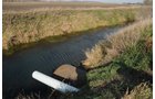 Property photo 43 - 312 Acres Offered in 2 Tracts