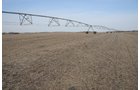 Property photo 30 - 312 Acres Offered in 2 Tracts