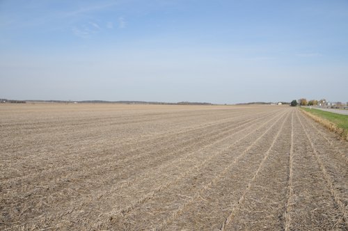 Property photo 38 - 312 Acres Offered in 2 Tracts