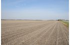 Property photo 38 - 312 Acres Offered in 2 Tracts