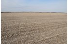 Property photo 66 - 312 Acres Offered in 2 Tracts
