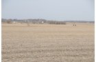 Property photo 37 - 312 Acres Offered in 2 Tracts