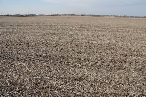 Property photo 99 - 312 Acres Offered in 2 Tracts