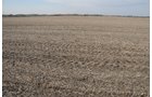 Property photo 99 - 312 Acres Offered in 2 Tracts