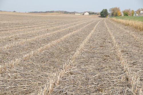 Property photo 25 - 312 Acres Offered in 2 Tracts
