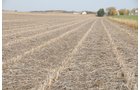 Property photo 25 - 312 Acres Offered in 2 Tracts