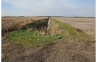 Property photo 75 - 312 Acres Offered in 2 Tracts