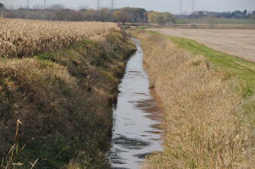 Property photo 28 - 312 Acres Offered in 2 Tracts