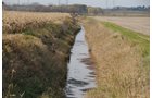 Property photo 28 - 312 Acres Offered in 2 Tracts