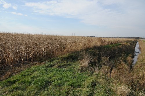 Property photo 108 - 312 Acres Offered in 2 Tracts