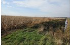 Property photo 108 - 312 Acres Offered in 2 Tracts